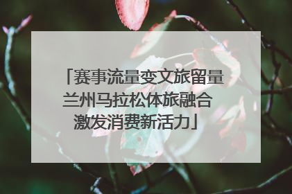 赛事流量变文旅留量 兰州马拉松体旅融合激发消费新活力