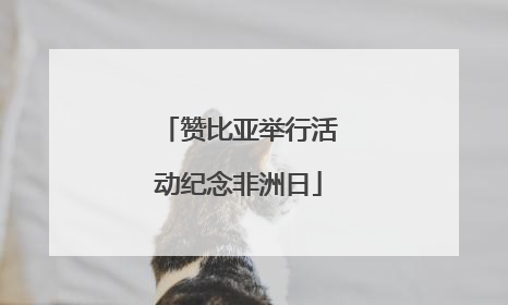 赞比亚举行活动纪念非洲日