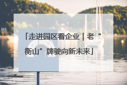 走进园区看企业｜老“衡山”牌驶向新未来