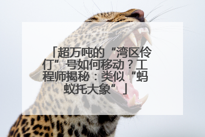 超万吨的“湾区伶仃”号如何移动？工程师揭秘：类似“蚂蚁托大象”