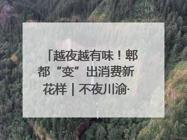 越夜越有味！郫都“变”出消费新花样｜不夜川渝·夜经济调研行