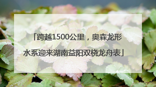 跨越1500公里，奥森龙形水系迎来湖南益阳双桡龙舟表