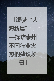 逐梦“大海新晨”——探访泰州不同行业火热的建设场景