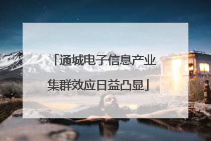 通城电子信息产业集群效应日益凸显