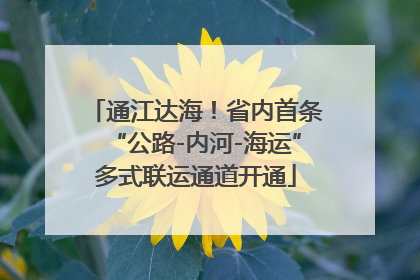 通江达海！省内首条“公路-内河-海运”多式联运通道开通