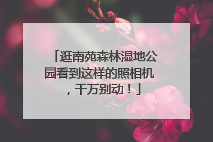 逛南苑森林湿地公园看到这样的照相机，千万别动！