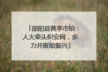 邵阳县黄亭市镇：人大牵头织安网，多力并聚助振兴