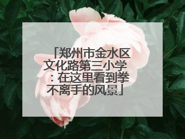 郑州市金水区文化路第三小学：在这里看到拳不离手的风景