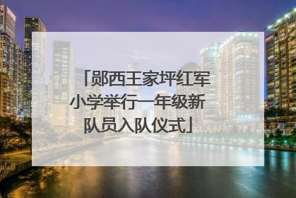 郧西王家坪红军小学举行一年级新队员入队仪式
