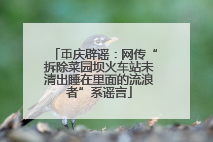 重庆辟谣：网传“拆除菜园坝火车站未清出睡在里面的流浪者”系谣言