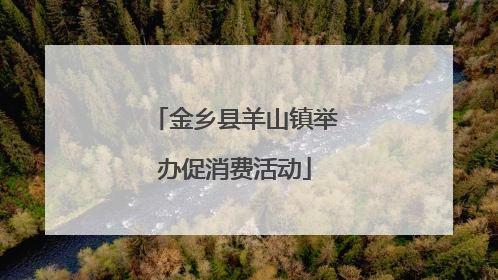 金乡县羊山镇举办促消费活动