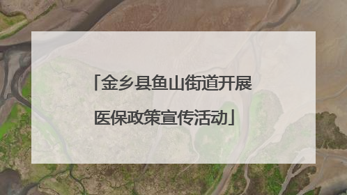 金乡县鱼山街道开展医保政策宣传活动