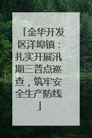金华开发区洋埠镇：扎实开展汛期三普点巡查，筑牢安全生产防线