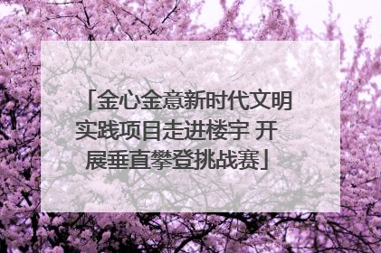 金心金意新时代文明实践项目走进楼宇 开展垂直攀登挑战赛
