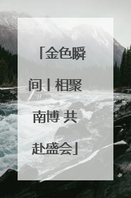金色瞬间丨相聚南博 共赴盛会