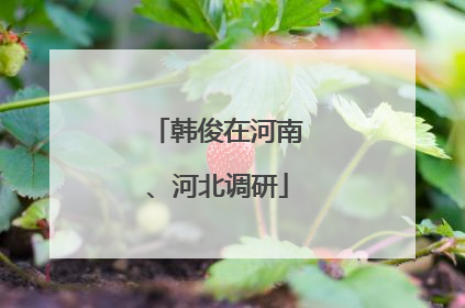 韩俊在河南、河北调研