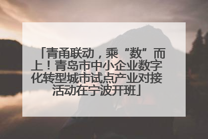 青甬联动，乘“数”而上！青岛市中小企业数字化转型城市试点产业对接活动在宁波开班