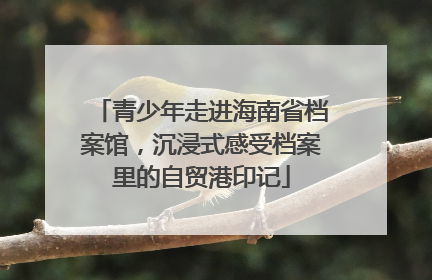 青少年走进海南省档案馆，沉浸式感受档案里的自贸港印记