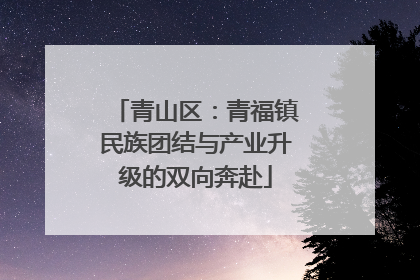 青山区：青福镇民族团结与产业升级的双向奔赴