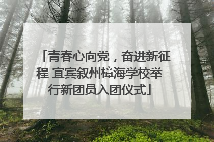 青春心向党，奋进新征程 宜宾叙州樟海学校举行新团员入团仪式