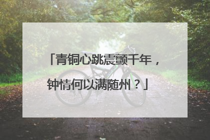 青铜心跳震颤千年，钟情何以满随州？