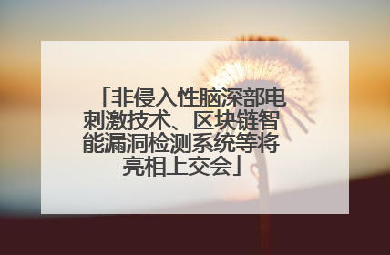 非侵入性脑深部电刺激技术、区块链智能漏洞检测系统等将亮相上交会
