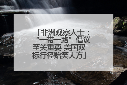 非洲观察人士：“一带一路”倡议至关重要 美国双标行径贻笑大方