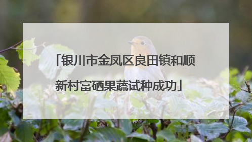银川市金凤区良田镇和顺新村富硒果蔬试种成功