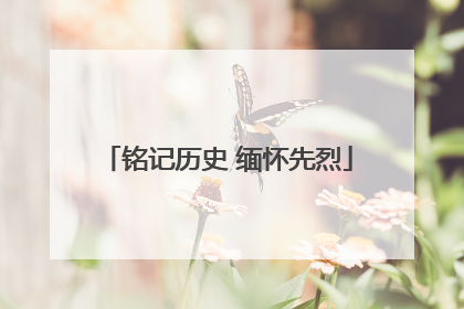 铭记历史 缅怀先烈
