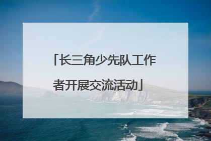 长三角少先队工作者开展交流活动