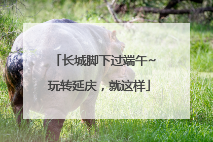长城脚下过端午~玩转延庆，就这样