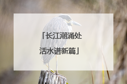 长江潮涌处 活水谱新篇