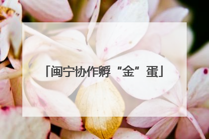 闽宁协作孵“金”蛋