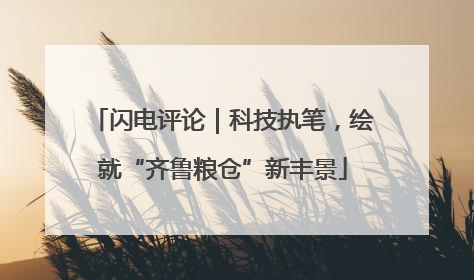 闪电评论｜科技执笔，绘就“齐鲁粮仓”新丰景