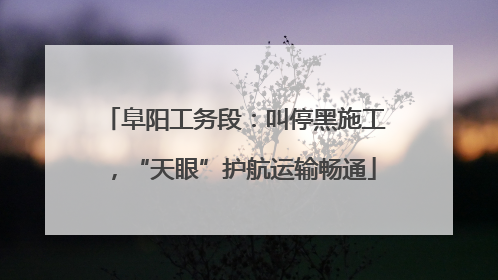 阜阳工务段：叫停黑施工，“天眼”护航运输畅通