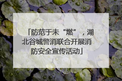 防范于未“燃”，湖北谷城警消联合开展消防安全宣传活动
