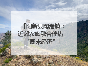 阳新县陶港镇：近郊农旅融合催热“周末经济”