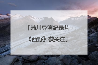 陆川导演纪录片《西野》获关注
