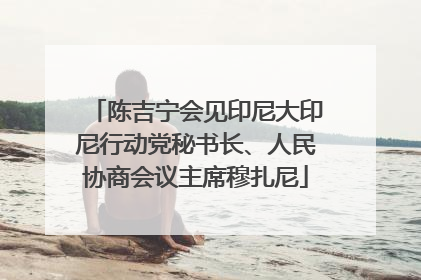 陈吉宁会见印尼大印尼行动党秘书长、人民协商会议主席穆扎尼