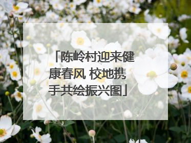 陈岭村迎来健康春风 校地携手共绘振兴图