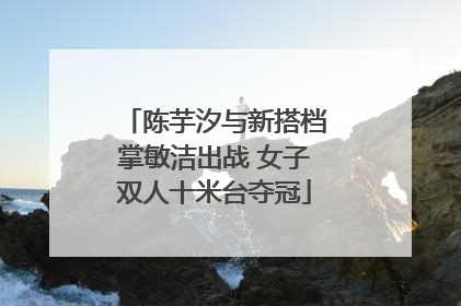 陈芋汐与新搭档掌敏洁出战 女子双人十米台夺冠