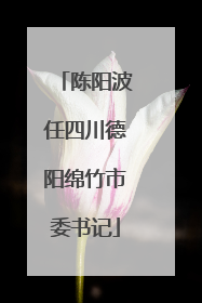陈阳波任四川德阳绵竹市委书记