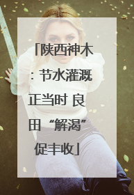 陕西神木：节水灌溉正当时 良田“解渴”促丰收