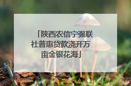 陕西农信宁强联社普惠贷款浇开万亩金银花海