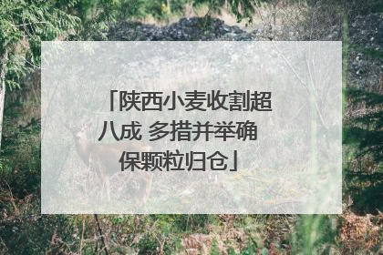 陕西小麦收割超八成 多措并举确保颗粒归仓