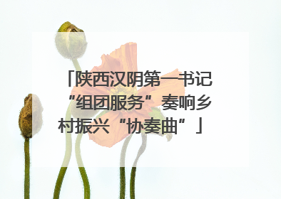 陕西汉阴第一书记“组团服务”奏响乡村振兴“协奏曲”