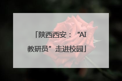 陕西西安：“AI教研员”走进校园