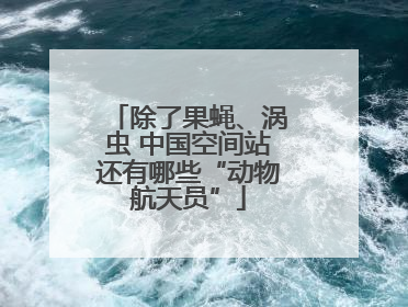除了果蝇、涡虫 中国空间站还有哪些“动物航天员”