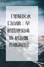 零陵区水口山镇：早稻管理见成效 稻浪飘香穗满田