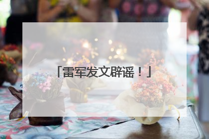 雷军发文辟谣！